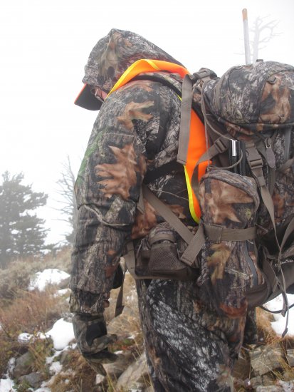 Mule Deer Hunt with 243 WSSM