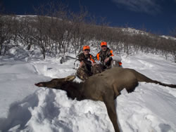 Dallen and Dad with A-Bolt Stainless Laminate 243 WSSM and his 2010 Cow Elk