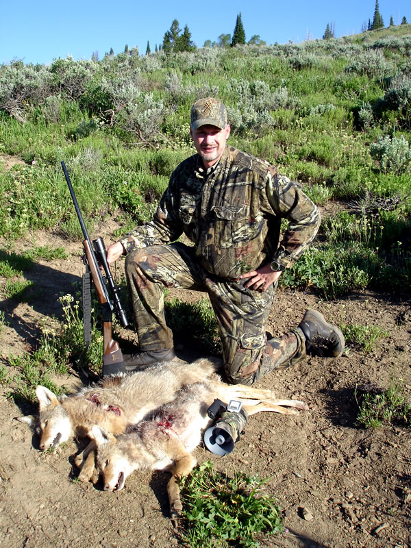 Two coyotes, Model 1885, 243 WSSM, Homemade Electronic Coyote Caller