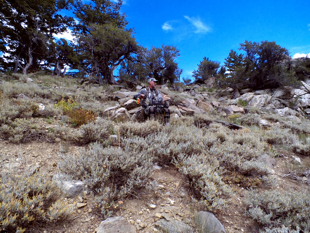 Mossy Oak TreeStand Camo in Sage Brush and Rock While Archery Elk Hunting