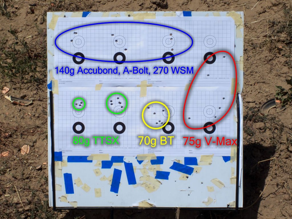 Day Six 243 WSSM Groups with a 75g V-Max, 80g TTSX, 70g Ballistic Tip and Hodgdon Superformance Powder