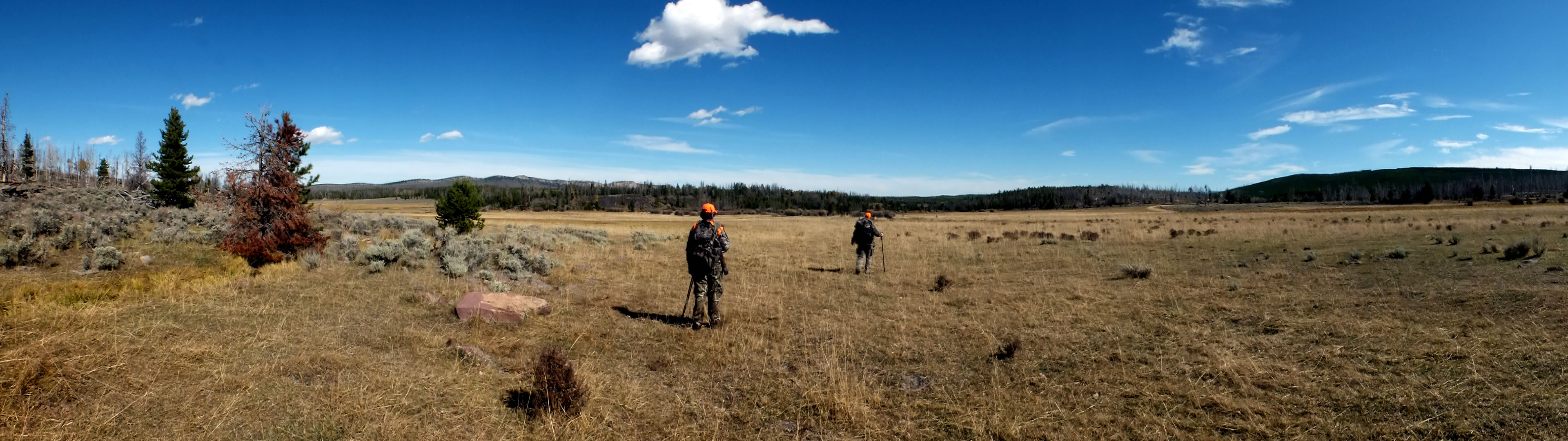 Panorama of elk hunting in Uinta mountains