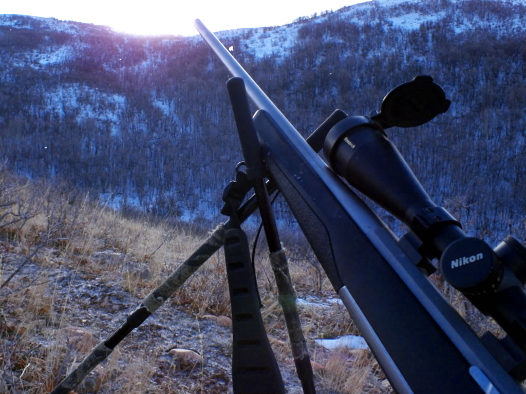 270 WSM X-Bolt with Nikon Monarch 4-16x BDC Rifle Scope