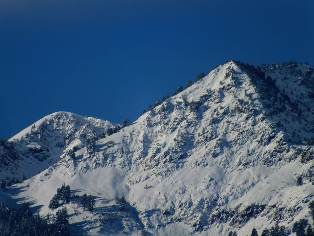 The cliffs the big mule deer buck escaped down.