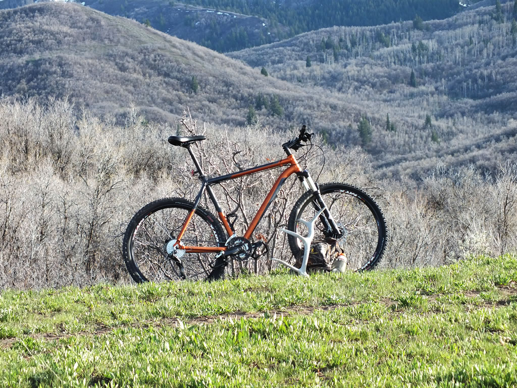 2011 Trek Cobia mtx33 wheels and elk shed