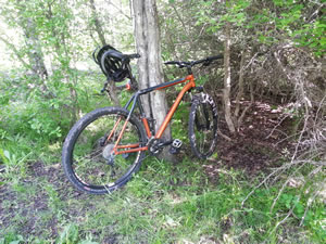 Trek Cobia 29er with 36h Wheelset