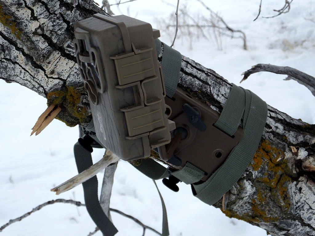 Browning Trail Camera Tree Mount on Angled Tree