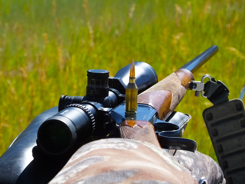 243 WSSM Model 1885 - 95 Gr Berger VLD