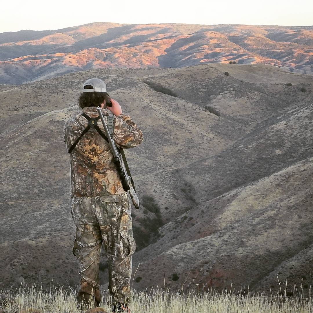 Dallen glassing for deer.