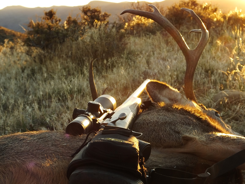 My 2017 buck with my X-Bolt 28 Nosler.