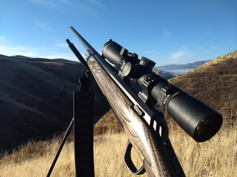 Dallen's X-Bolt 300 WSM.