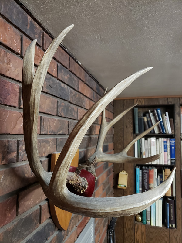 My Dad's first buck - Durst Mountain CWMU