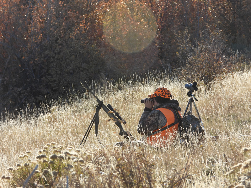 Kaden glassing for mule deer.