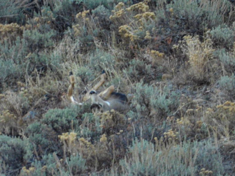 My cheater buck upsidedown.