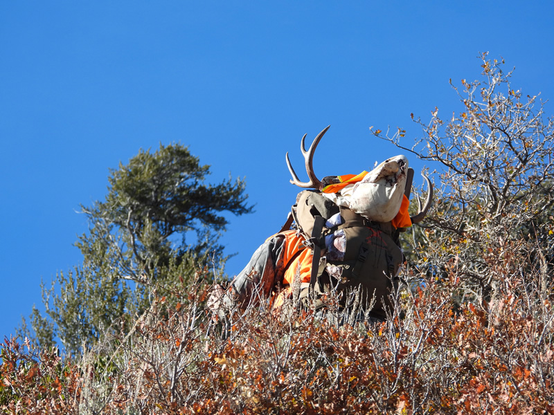 Alps Outdoorz Extreme Pack Packout.