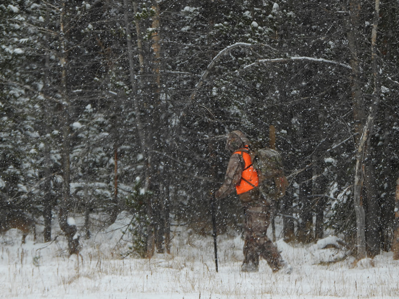 Hiking in snow storm in a meadow in the Uinta mountains.