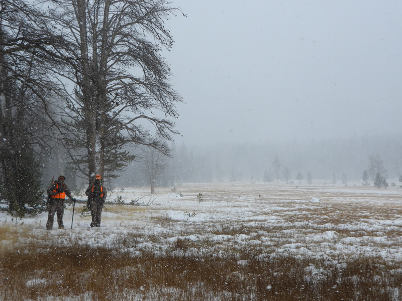 Hiking in snow storm in a meadow in the Uinta mountains.