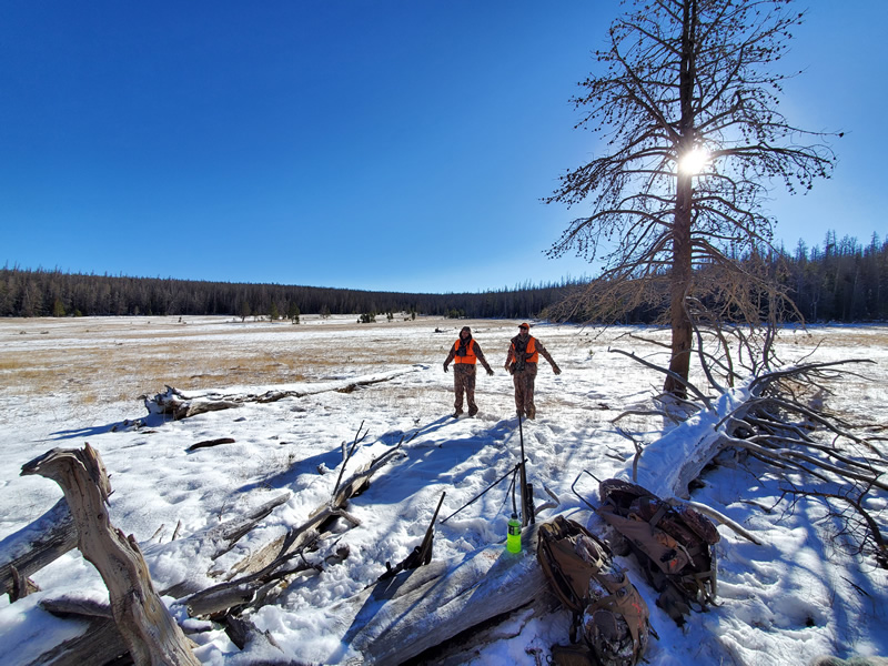 Warming up in the sun in Uinta mountains.