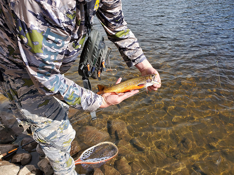 Tenkara fiahing with Dragontail Mizuchi.