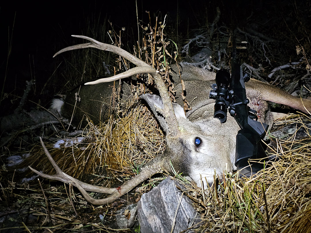 2024 Mule Deer Buck taken with my X-Bolt 2 Hunter Composite