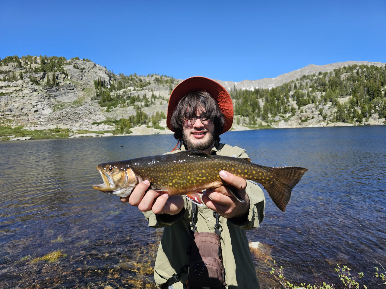 Big Brook trout
