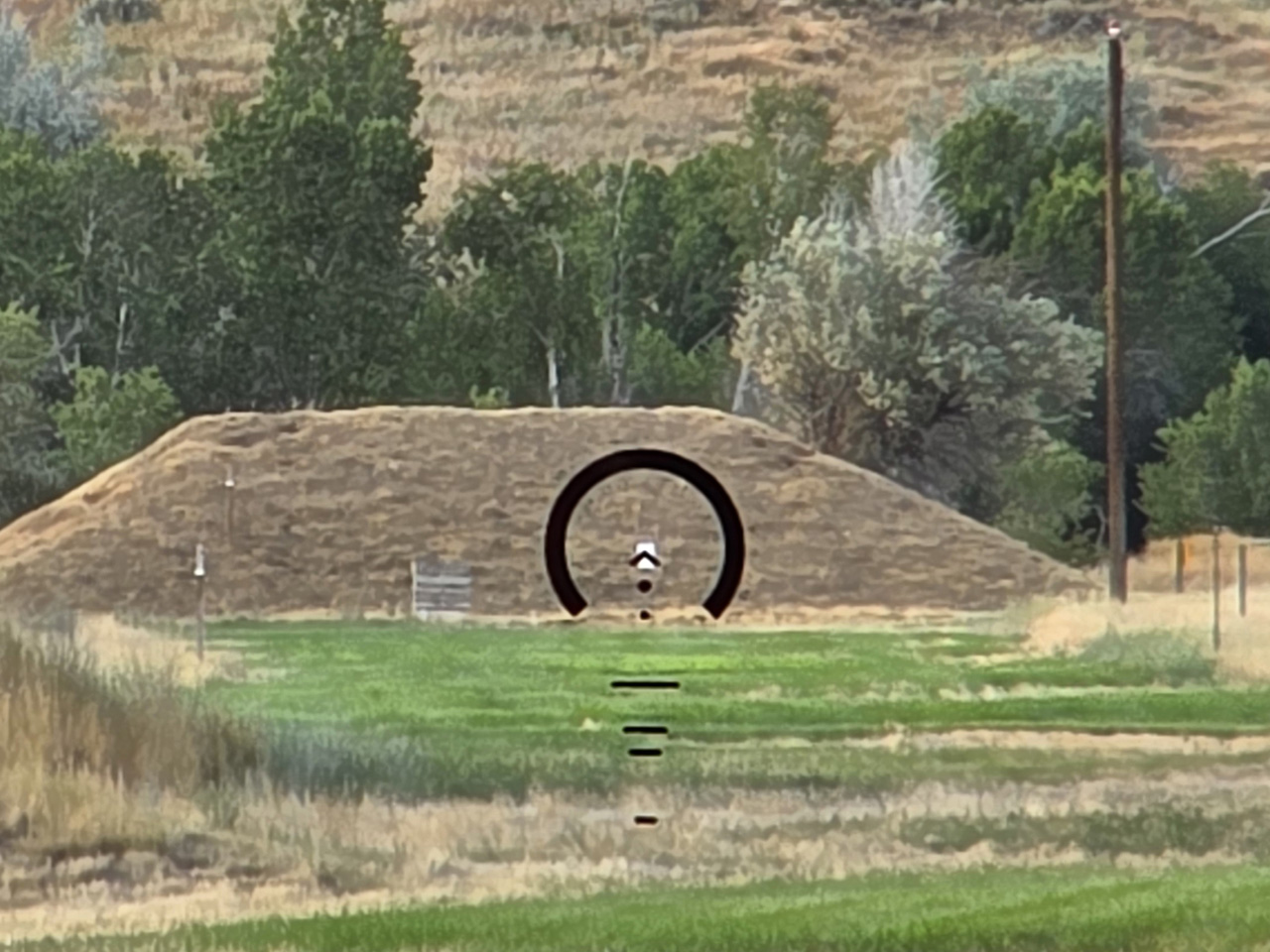 Primary Arms 1x SLx Microprism with Gemini 9mm Reticle on 300 Yard Target