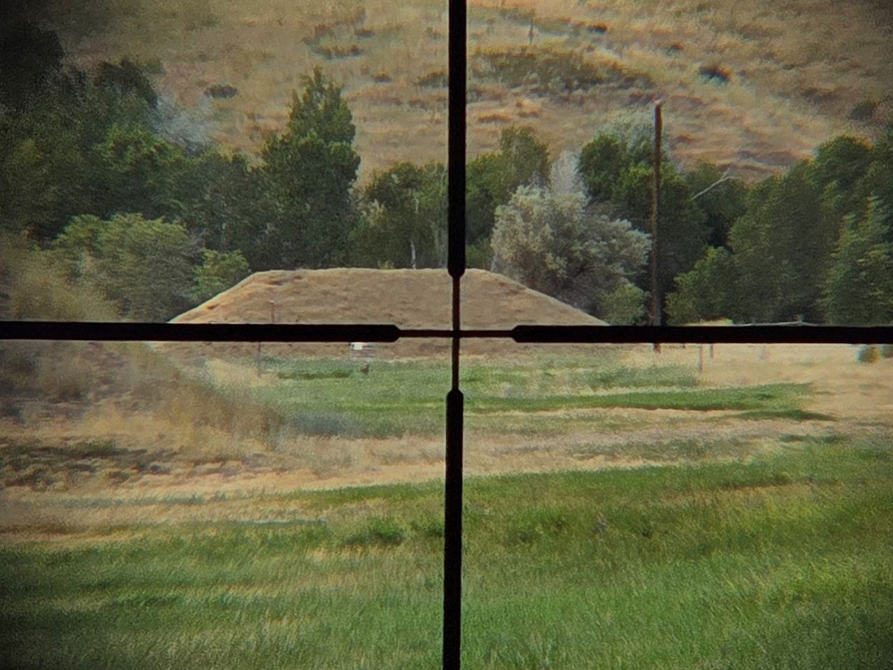 Vortex Crossfire Reticle on 300 Yard Target