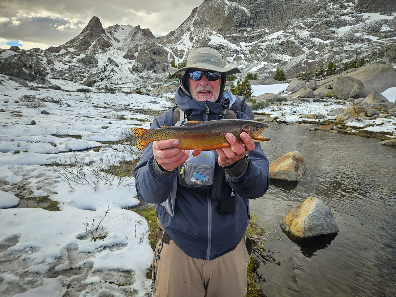Golden Trout from the Wind Rivers in 2026