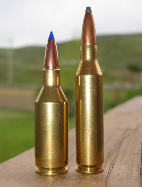 243 WSSM and 243 Win Catridges